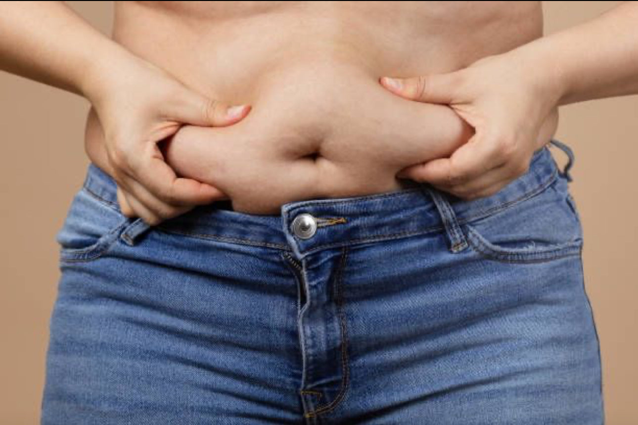 Insulin Resistance and Visceral Fat: Break the Cycle for Metabolic Health