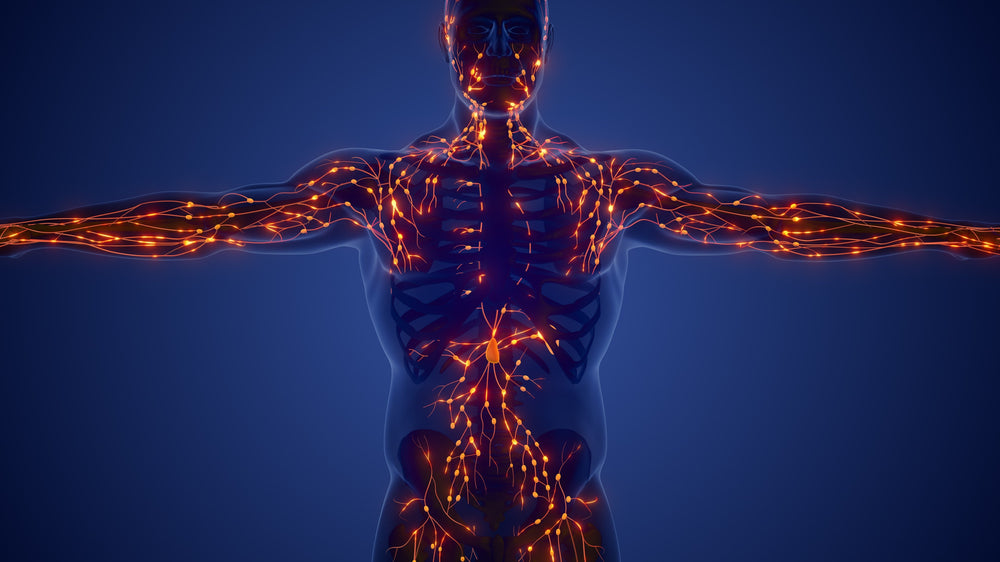 Vodder Method Dr. Vodder Method of Manual Lymph Drainage - NualaWoulfe