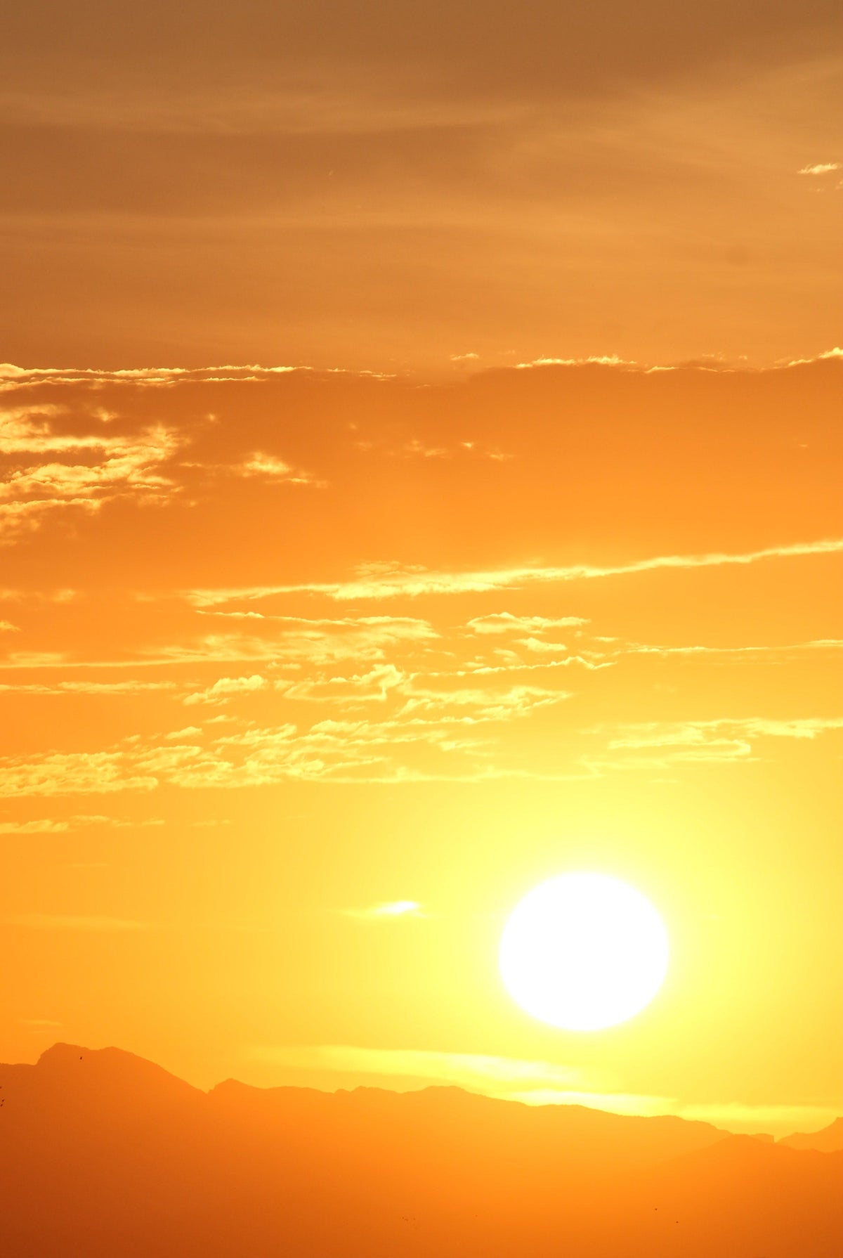 Perimenopause & Menopause Programme with Edelle