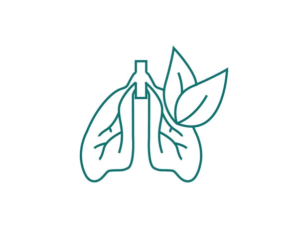 Building an Anti-Inflammatory Foundation