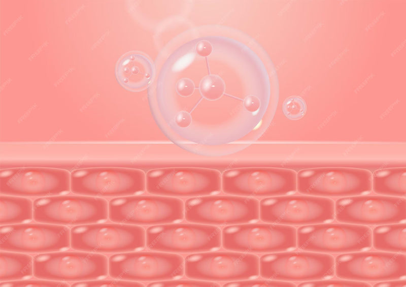 What “Secretory” Means in Skin Science