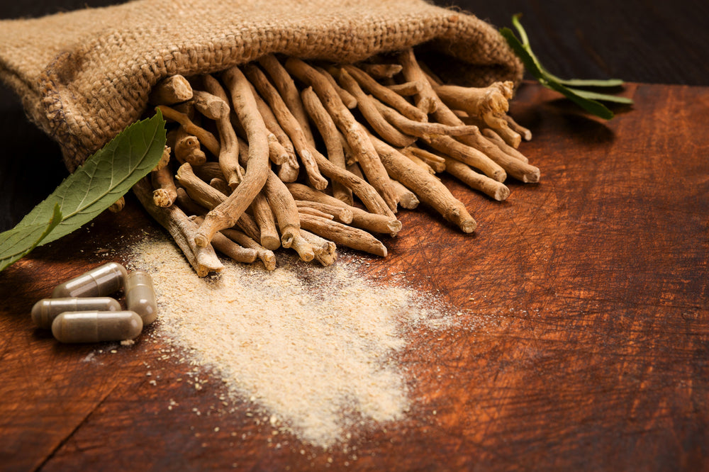 Ashwagandha's Potential Health Benefits