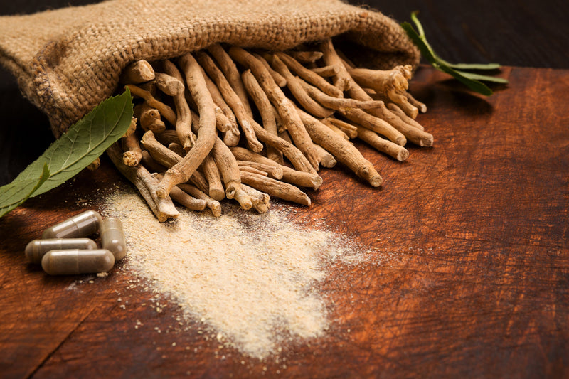 Ashwagandha's Potential Health Benefits