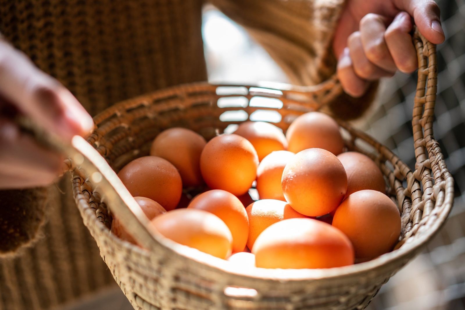Eggs