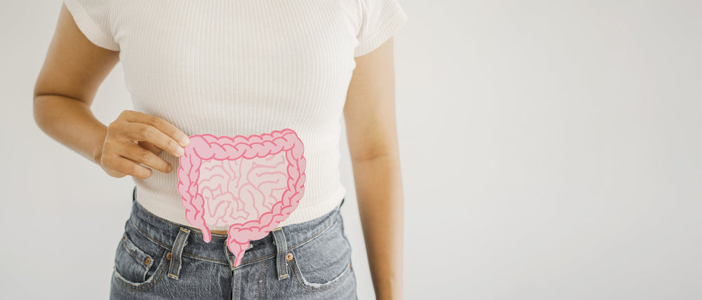 Gut health and biological ageing