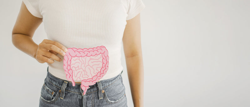 Gut health and biological ageing