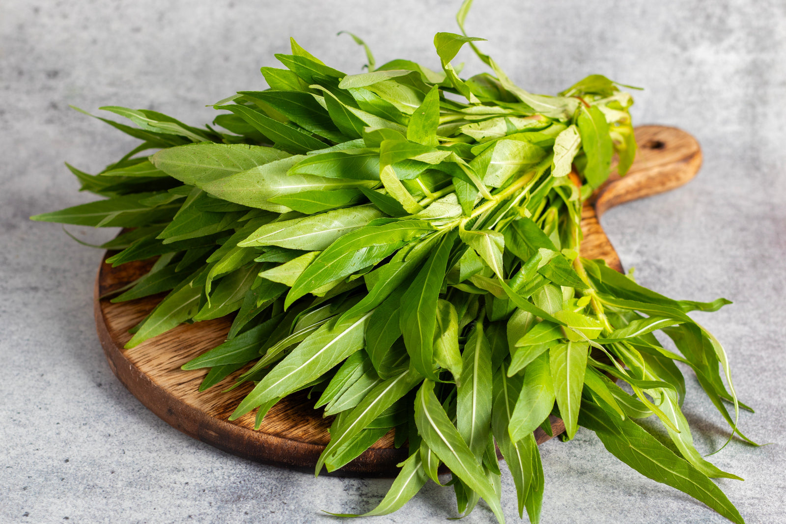 Benefits of Phytochemicals