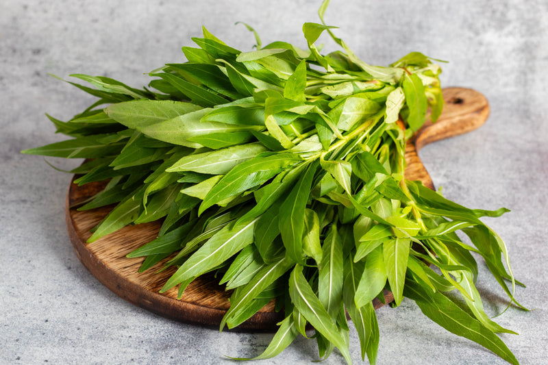 Benefits of Phytochemicals