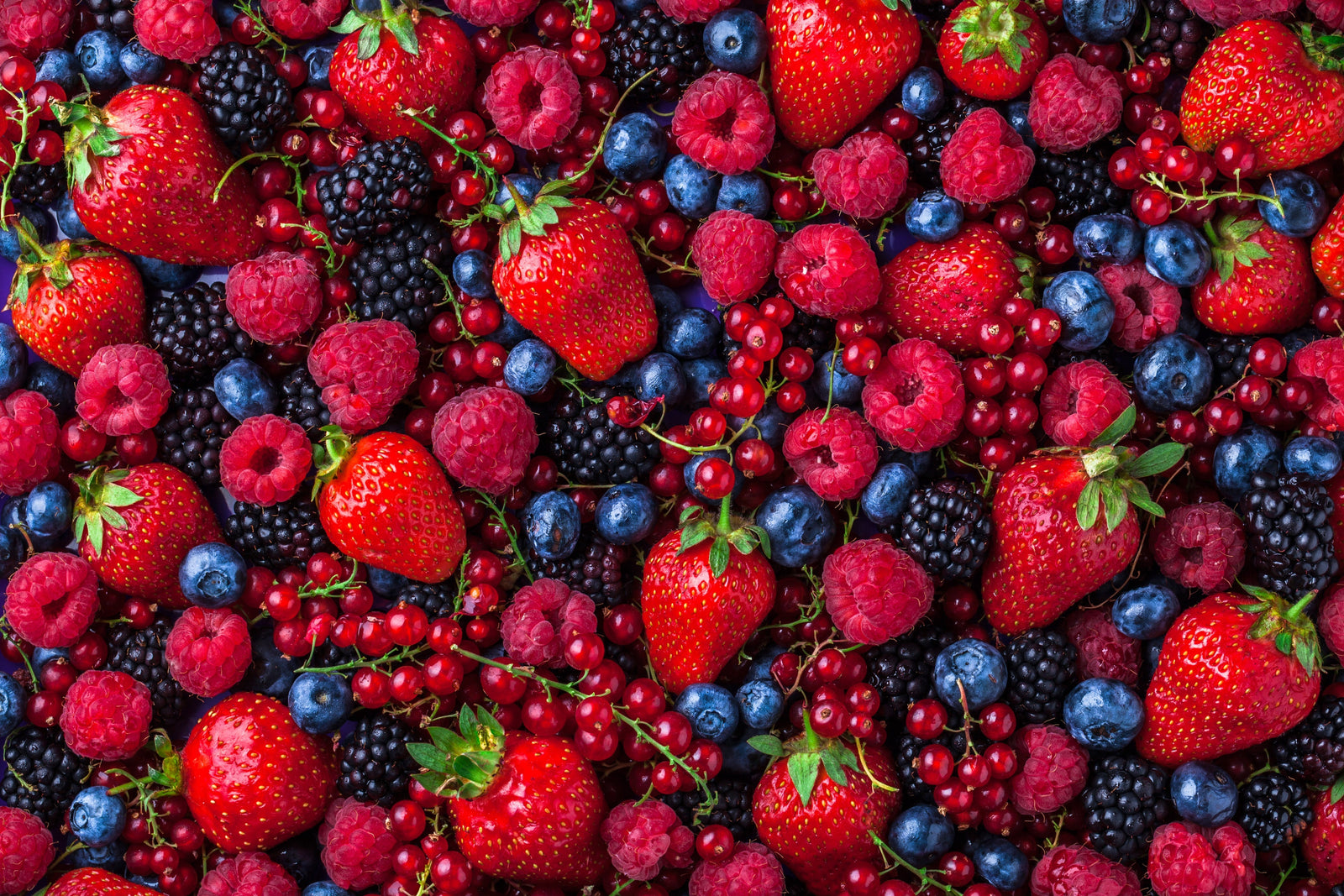 Benefits of Polyphenols