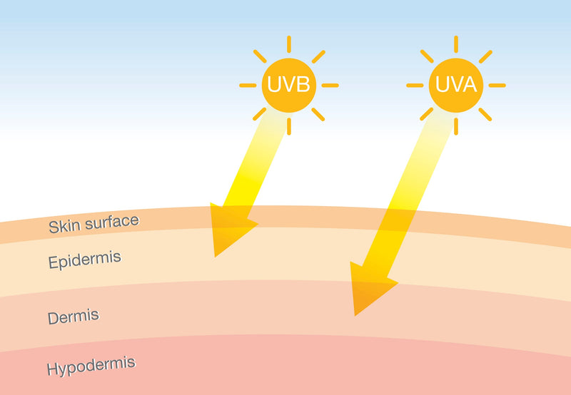The Difference Between UVA and UVB Rays.