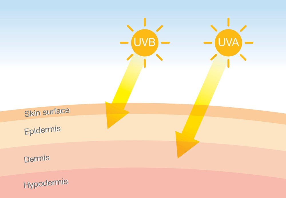 The Difference Between UVA and UVB Rays.