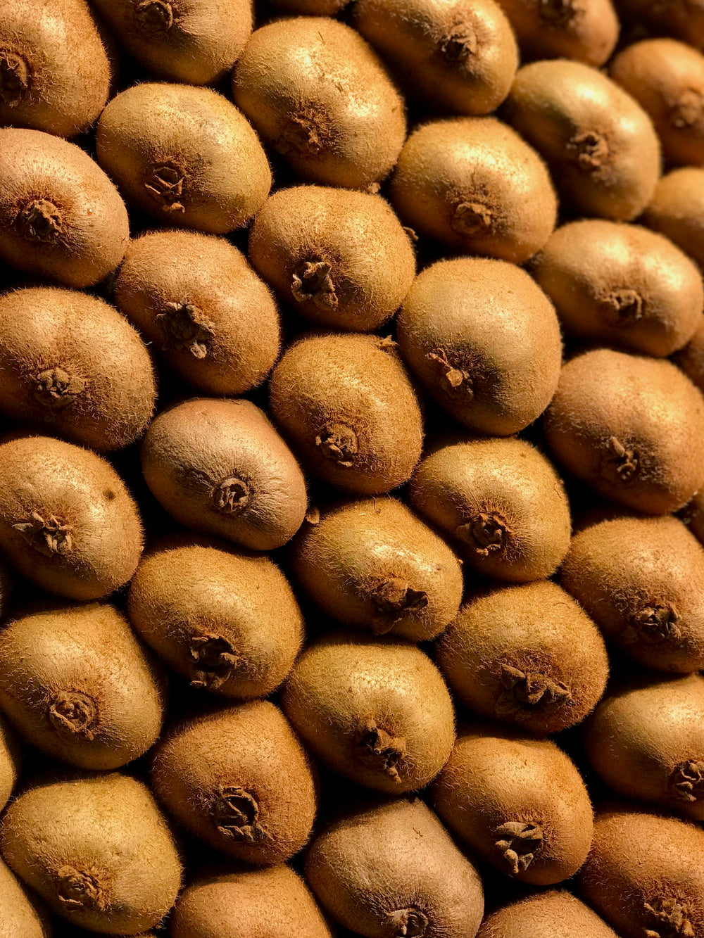 Enzymes: Hidden Force in Digestion, Skin, Immunity, Ageing