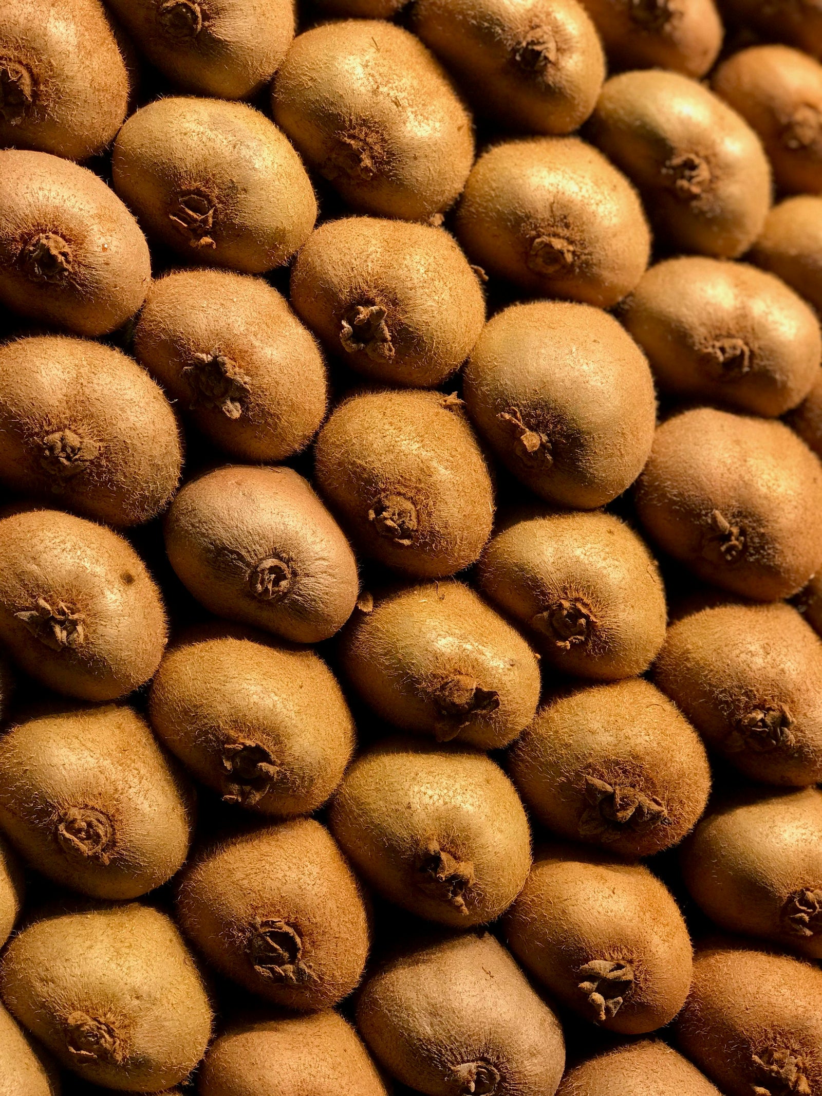 Enzymes: Hidden Force in Digestion, Skin, Immunity, Ageing