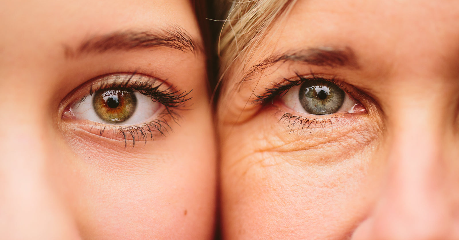 Hormones and Oestrogen in women overview blog post