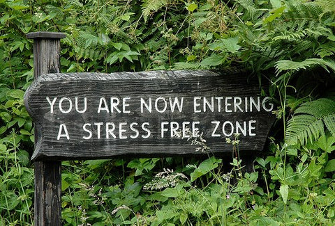 Listen to  Dr Andrew Huberman, Neuroscientist on dealing with Stress.