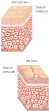 Skinade A & D Targeted Solutions Skin Drink