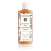 Eminence Mangosteen Daily Resurfacing Cleanser